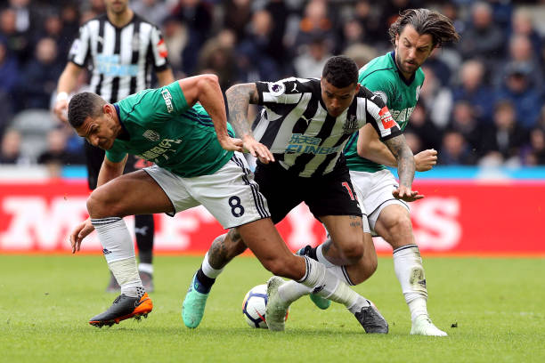 维利近年来 维利近年来